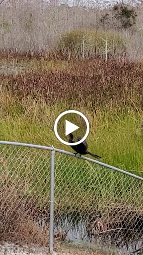 Nature Preserve «Karen T. Marcus Sandhill Crane Access Park», reviews and photos, 8175 PGA Boulevard, Palm Beach Gardens, FL 33418, USA
