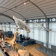 Natuurhistorisch Museum van België