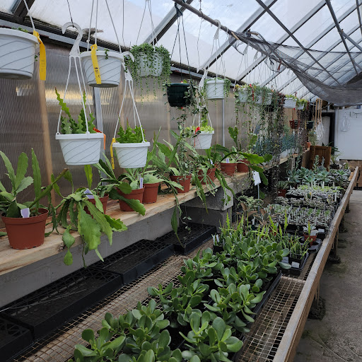 Florist «Radebaugh Florist and Greenhouses», reviews and photos, 120 Burke Ave, Towson, MD 21286, USA