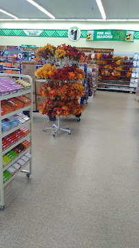 Dollar Tree - Photo 3 - Car repair in League City, TX, League City