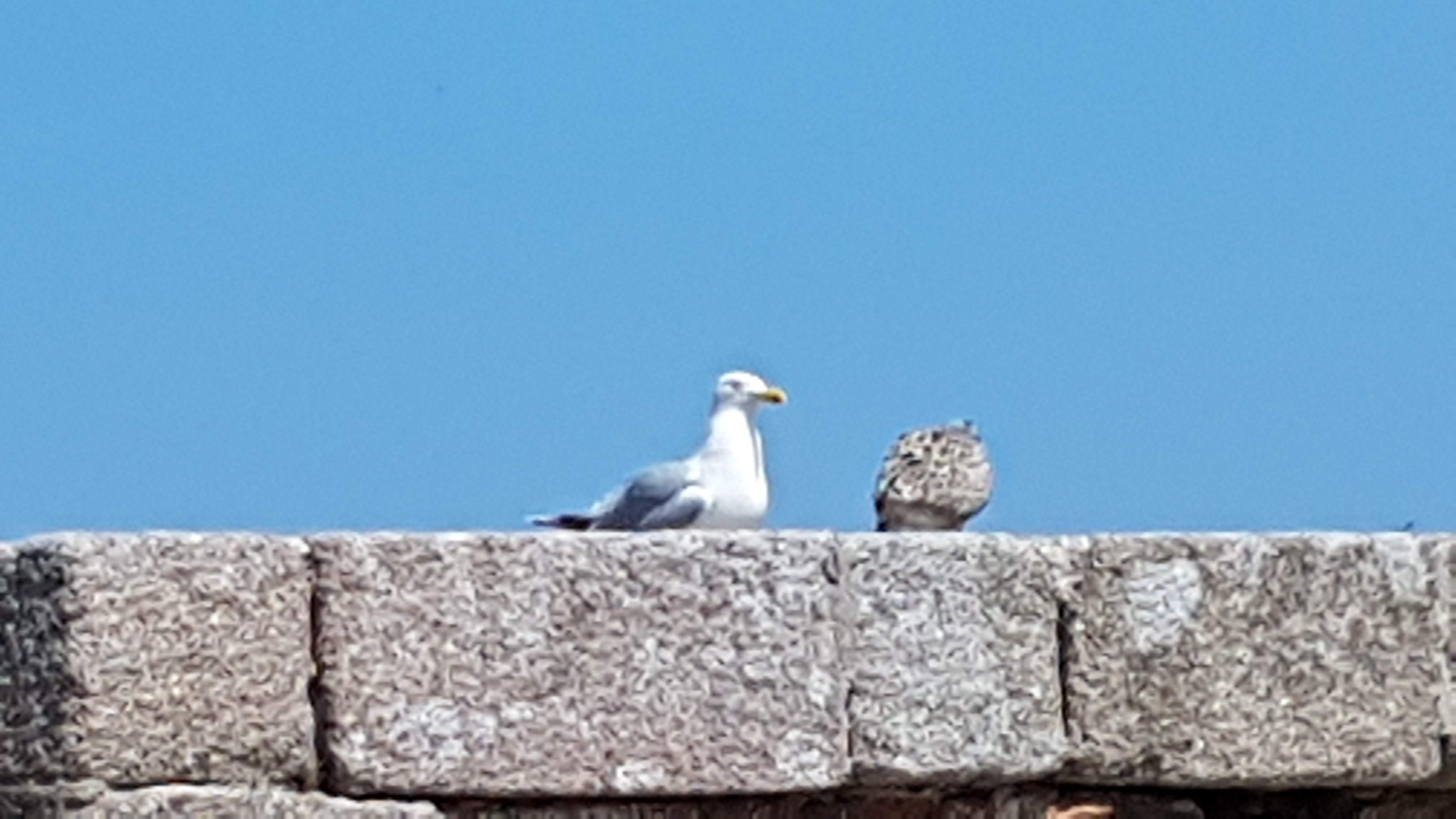Photo n° 14 de l'avis de Jean-Pierre.E fait le 23/07/2019 à 14:20