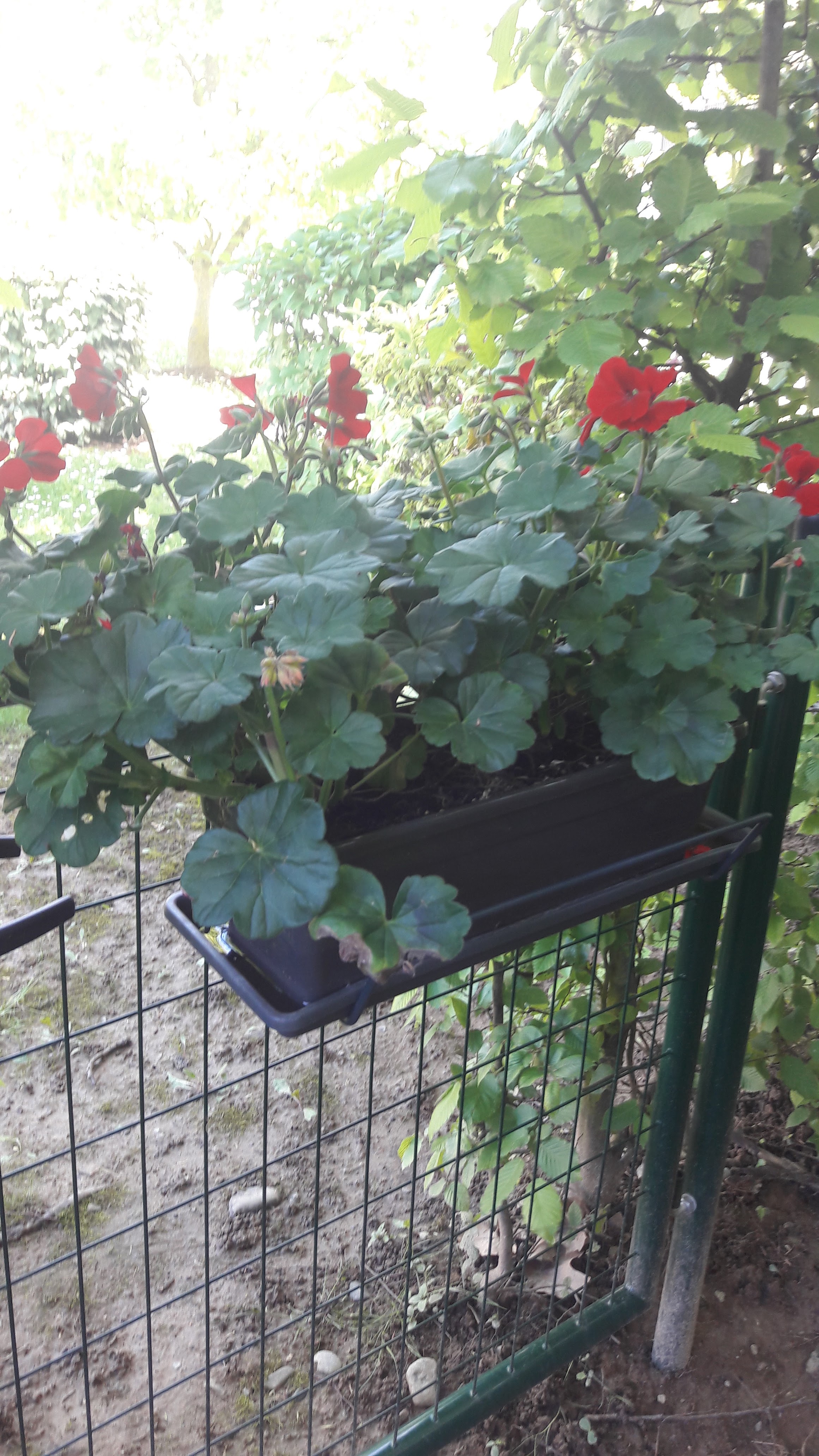 Photo n° 1 de l'avis de Regine.u fait le 24/05/2021 à 20:22