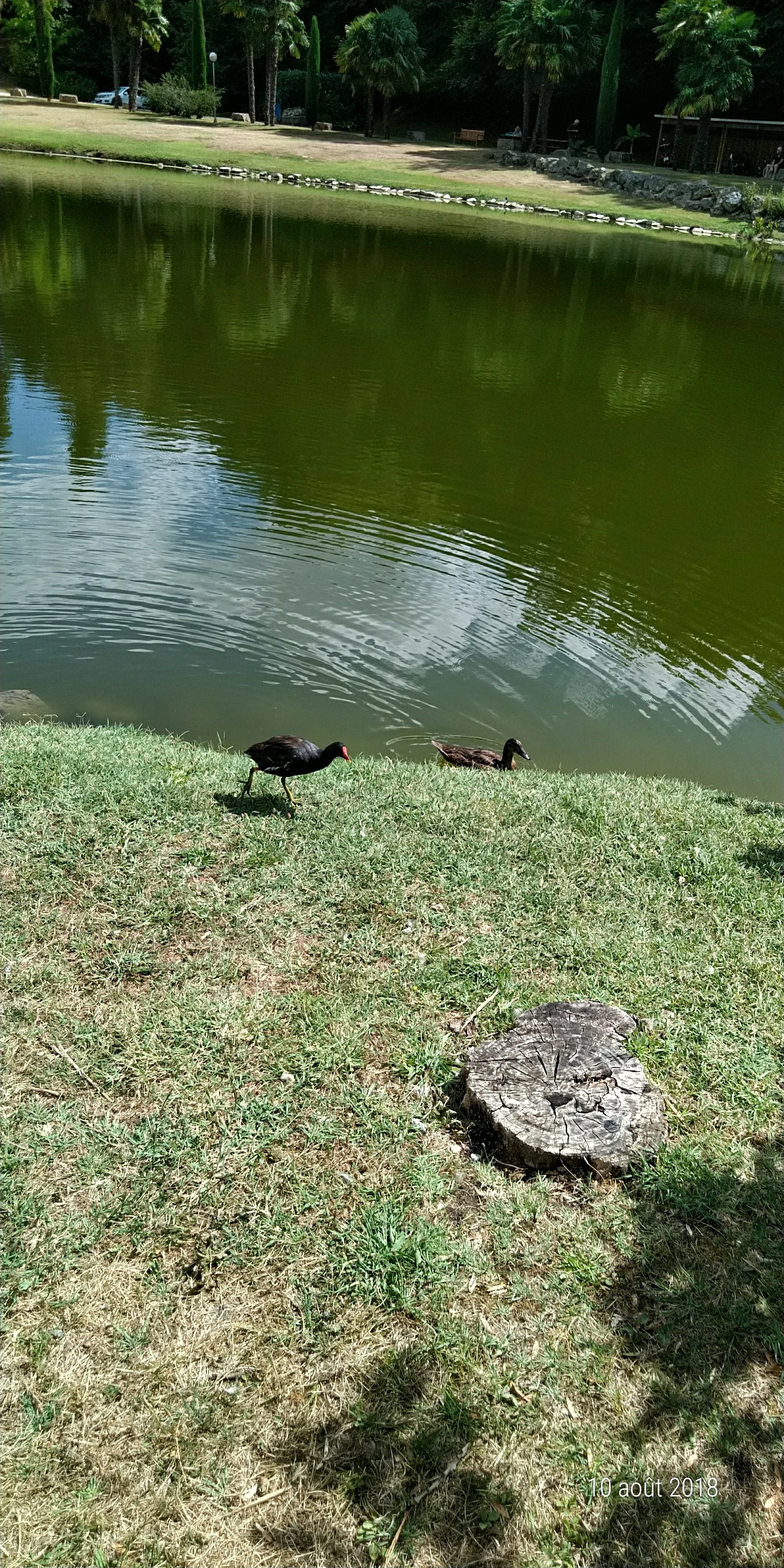 Photo n° 9 de l'avis de Famille.o fait le 13/08/2018 à 15:50