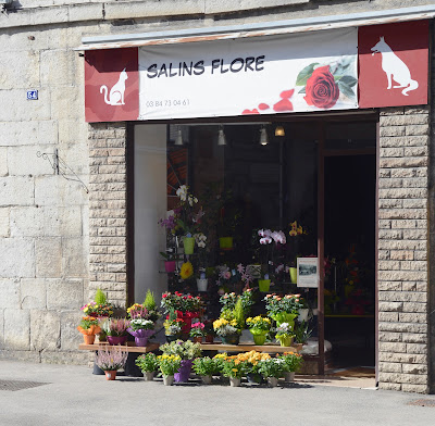 Fleuriste Salins Flore à Salins-les-Bains