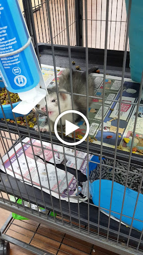 Pet Store «Pets Plus - Quakertown», reviews and photos, 117 S West End Blvd, Quakertown, PA 18951, USA