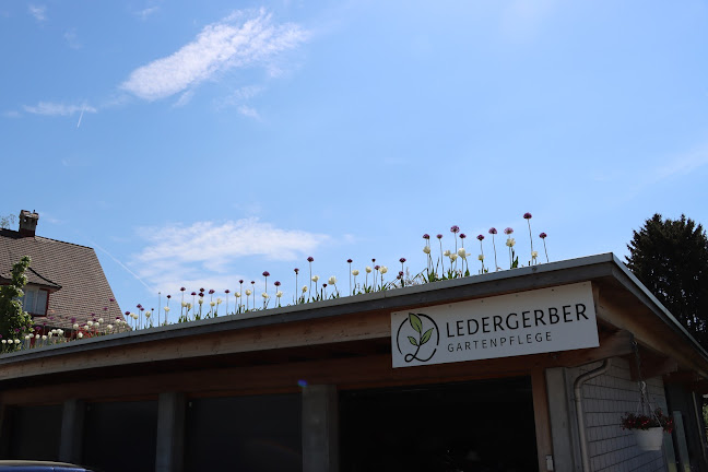 Rezensionen über Ledergerber Gartenpflege in Herisau - Gartenbauer