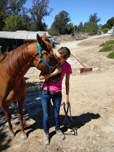Horse breeder Santa Rosa