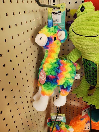 Pet Supply Store «Total Dog Company», reviews and photos, 9432 36th Ave N, New Hope, MN 55427, USA