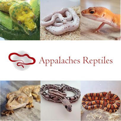 Appalaches Reptiles
