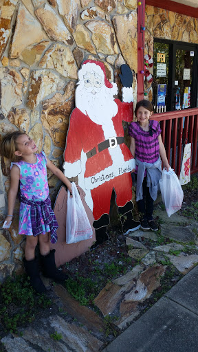 Gift Shop «Country Craft N Christmas Inc», reviews and photos, 25250 E Colonial Dr, Christmas, FL 32709, USA