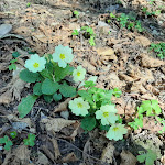 Photo n°4 de l'avis de Paola.a fait le 23/02/2020 à 13:46 sur le  Casa del Pellegrino à Rapallo
