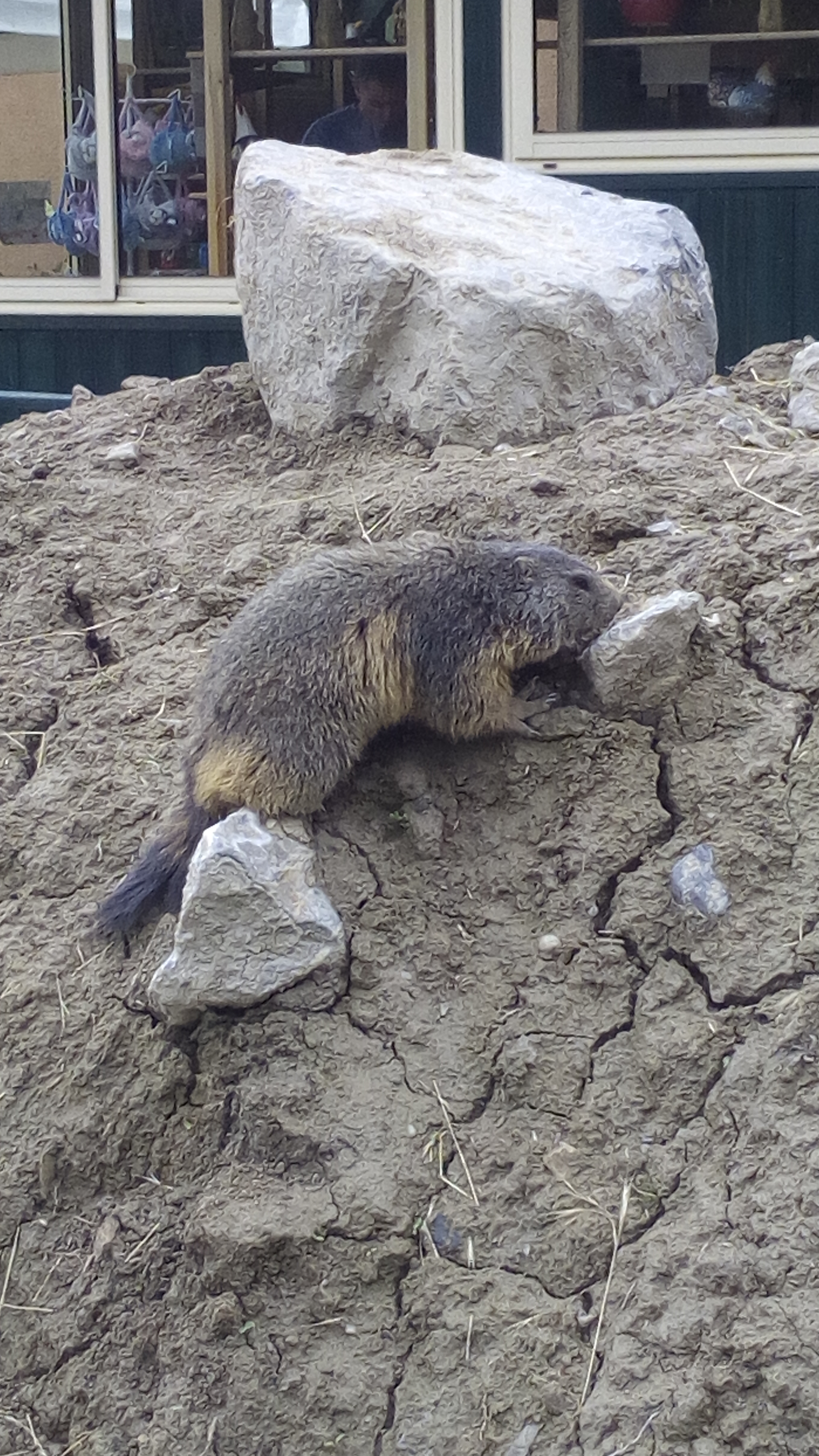 Photo n° 1 de l'avis de JoliePapillonne. fait le 19/05/2018 à 06:25