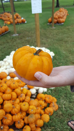 Florist «Designs By Tammy Your Florist», reviews and photos, 2625 W Danforth Rd, Edmond, OK 73012, USA