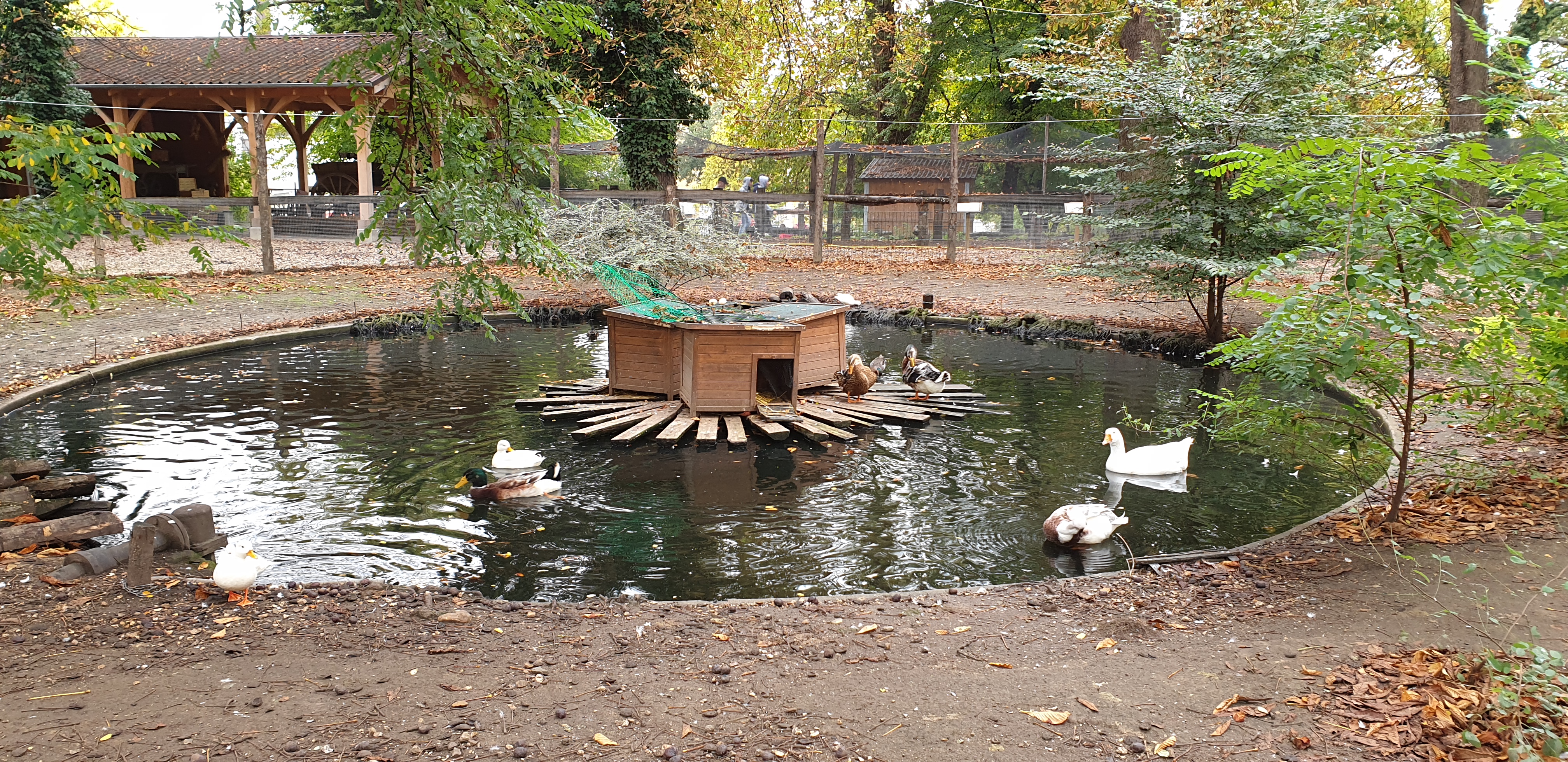 Photo n° 47 de l'avis de Julien.' fait le 23/10/2019 à 14:35