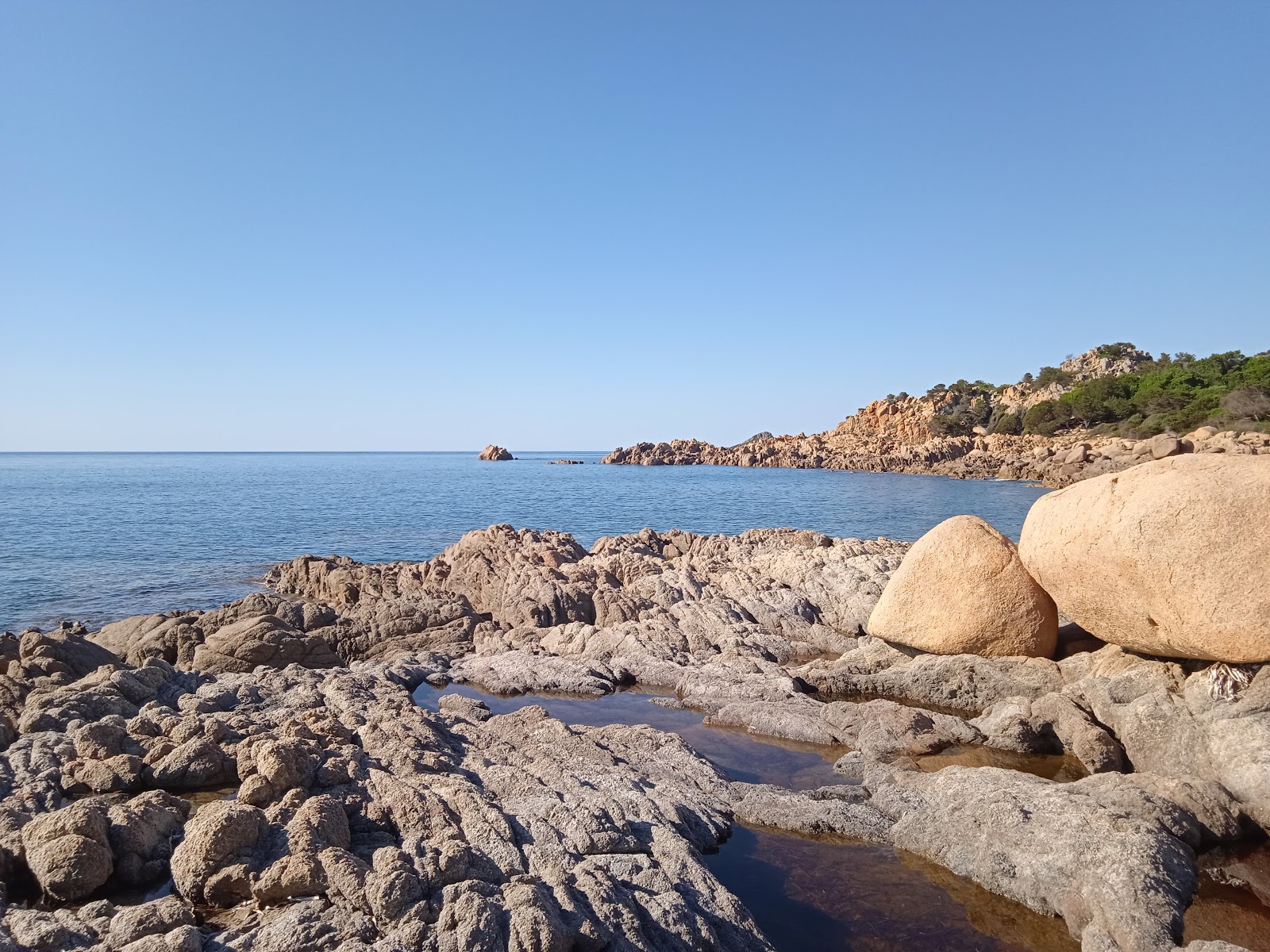 Faro di Capo Comino'in fotoğrafı vahşi alan