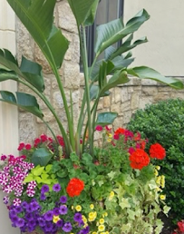 Aqua Pro Irrigation and Landscaping - Photo 8 - Car repair in Olathe, KS, Overland Park