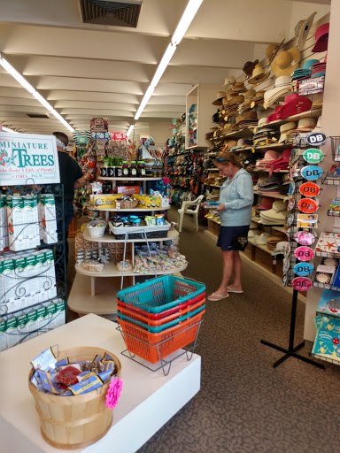 Gift Shop «Big Shark», reviews and photos, 2715 N Atlantic Ave, Daytona Beach, FL 32118, USA