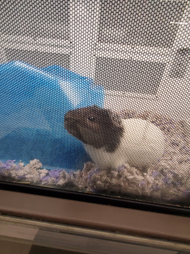 Pet Supply Store «Petco Animal Supplies», reviews and photos, 1275 W Patrick St, Frederick, MD 21702, USA