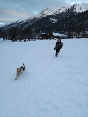 L'Immobilière des Gaves à Cauterets