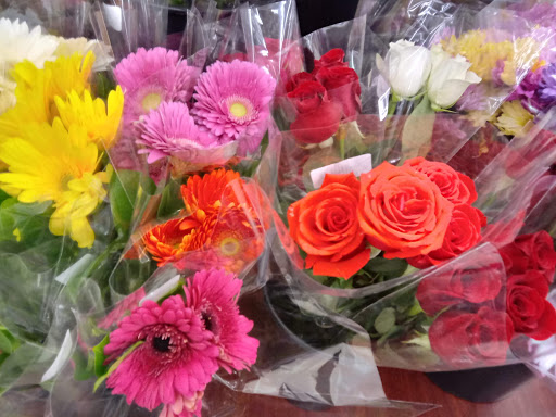 Shopping Mall «Bond Shopping Center», reviews and photos, 1891 S State Rd, Upper Darby, PA 19082, USA