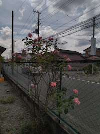ＰＬネットワークサービス（株）