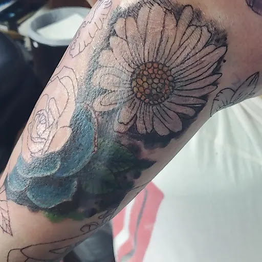 Tattoo Shop «Evolution Tattoo», reviews and photos, 1092 S Virginia St, Reno, NV 89502, USA