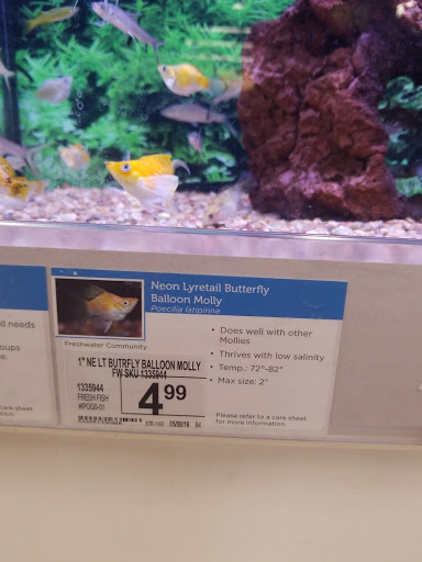 Pet Supply Store «Petco Animal Supplies», reviews and photos, 3495 Sports Arena Blvd, San Diego, CA 92110, USA