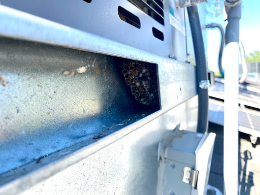 Next Level Pest Control image
