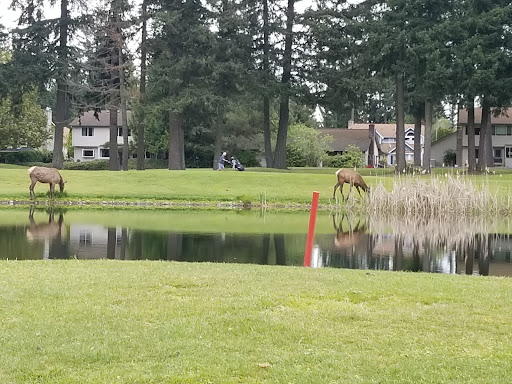 Golf Course «Lake Wilderness Golf Course», reviews and photos, 25400 Witte Rd SE, Maple Valley, WA 98038, USA