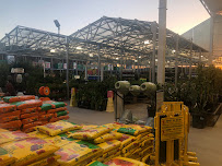 Lowe's Home Improvement - Photo 5 - Car repair in Peoria, AZ, Peoria