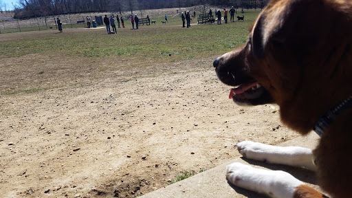 Dog Park «Worthington Off Leash Dog Park», reviews and photos, 8170 Hillsborough Rd, Ellicott City, MD 21043, USA