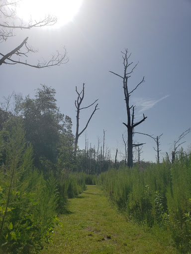 Park «Lake Rogers Park», reviews and photos, 9010 N Mobley Rd, Odessa, FL 33556, USA