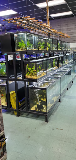 Pet Supply Store «Petland Discounts - Ozone Park», reviews and photos, 91-08 Atlantic Ave, Ozone Park, NY 11416, USA