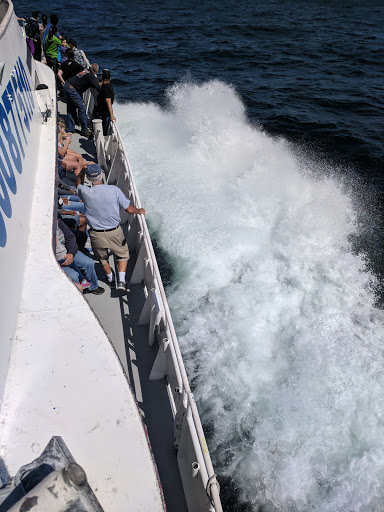 Whale Watching Tour Agency «Cape Ann Whale Watch», reviews and photos, 415 Main St, Gloucester, MA 01930, USA