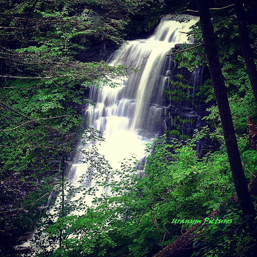 Tourist Attraction «PA Grand Canyon», reviews and photos, Rte 6, Wellsboro, PA 16901, USA