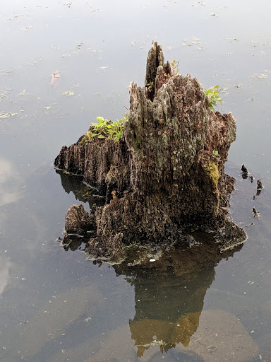 State Park «Winding Hills County Park», reviews and photos, 1847 NY-17K, Montgomery, NY 12549, USA