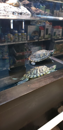 Pet Supply Store «Petco Animal Supplies», reviews and photos, 495 E Lincoln Hwy, New Lenox, IL 60451, USA