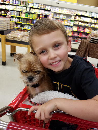 Grocery Store «Grocery Outlet Bargain Market», reviews and photos, 878 Molalla Ave, Oregon City, OR 97045, USA