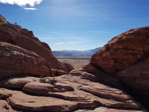 Luxury Hotel «MGM Grand», reviews and photos, 3799 S Las Vegas Blvd, Las Vegas, NV 89109, USA