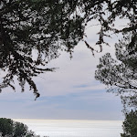 Photo n° 1 de l'avis de Mat.. fait le 22/02/2024 à 20:17 pour Forêt des Pierres Blanches à Sète