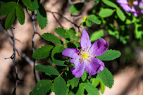 Eternal Essence Photography - Photo 3 - Car repair in , Albuquerque