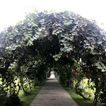 Photo n°24 de l'avis de Valeria.a fait le 26/08/2018 à 09:58 sur le  Artegusto - Viacava à Gazzuolo