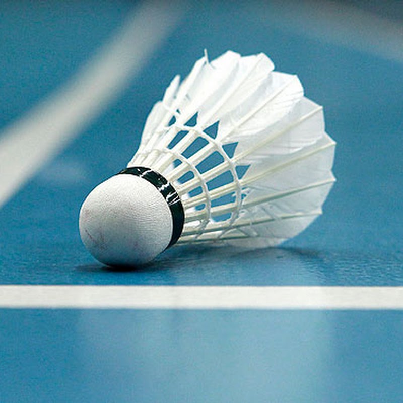Badmintonvereniging De Sjuttul
