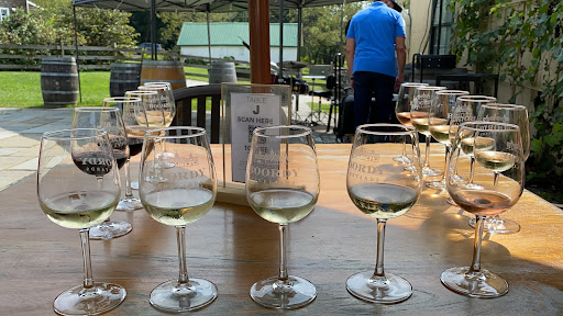 Vineyard «Boordy Vineyards», reviews and photos, 12820 Long Green Pike, Hydes, MD 21082, USA