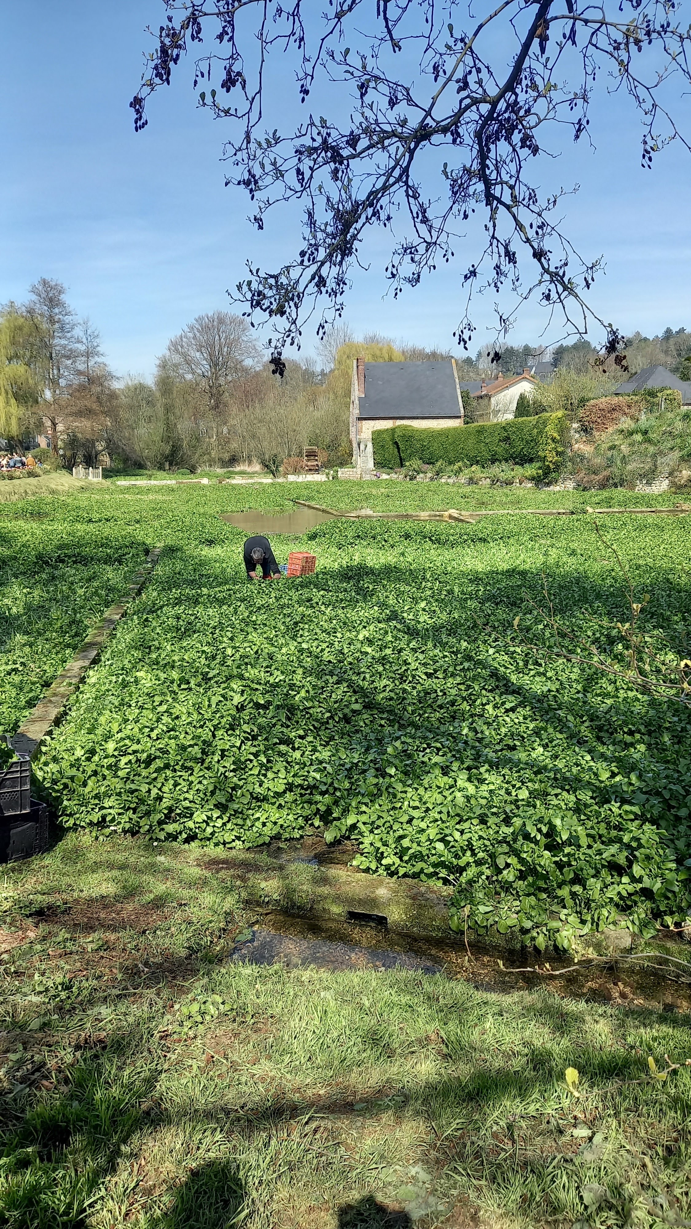 Photo n° 1 de l'avis de Hélène.e fait le 15/04/2023 à 20:38