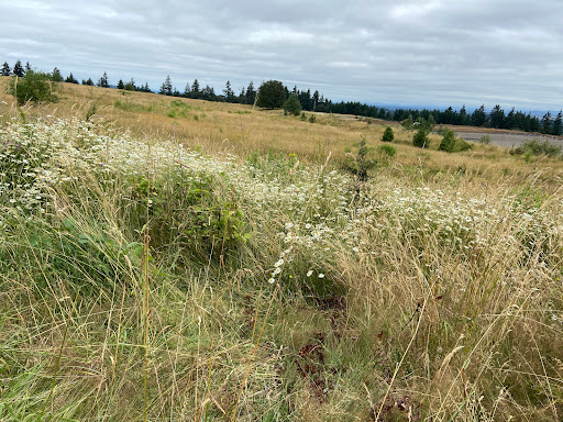 Park «Powell Butte Nature Park», reviews and photos, 16160 SE Powell Blvd, Portland, OR 97236, USA