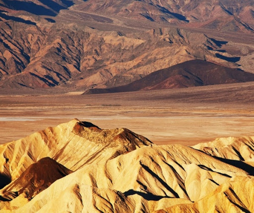 Art Gallery «Grey Art Gallery», reviews and photos, 100 Washington Square E, New York, NY 10003, USA