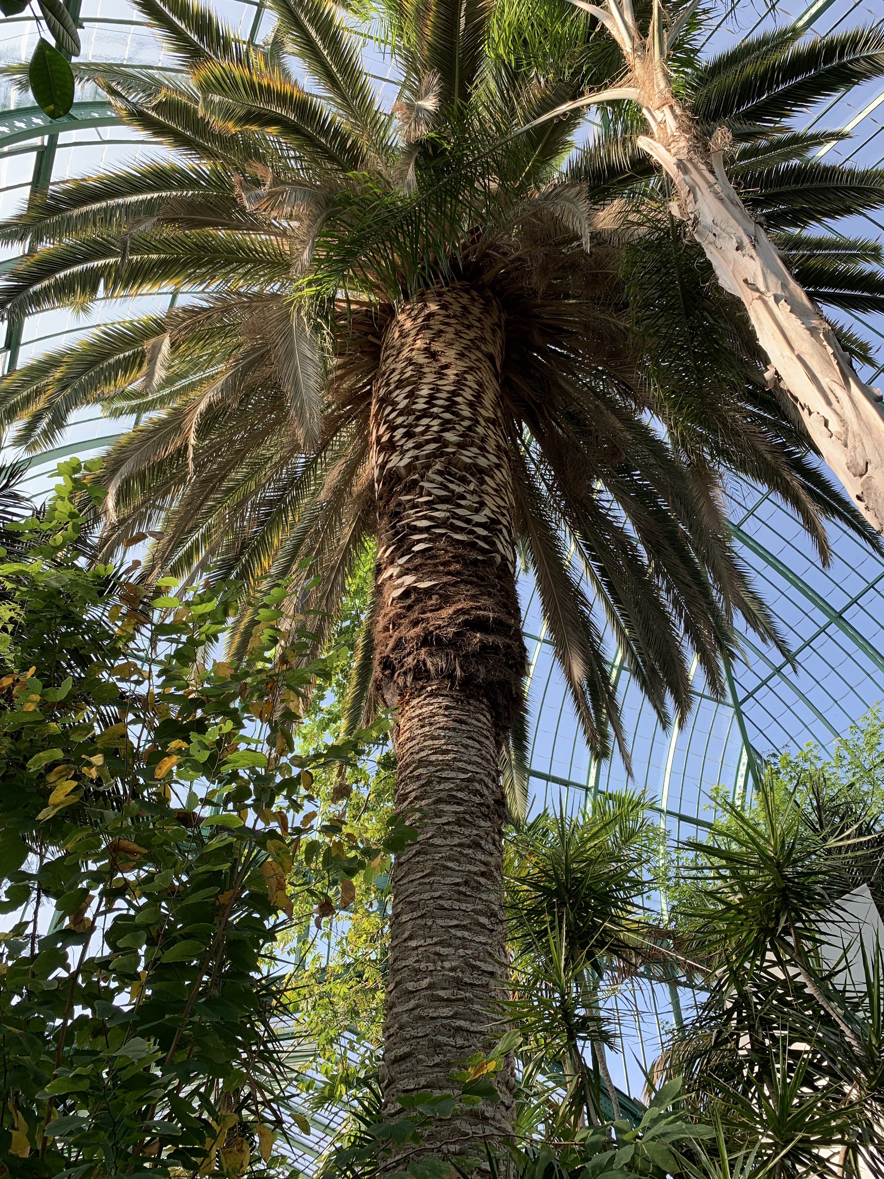 Photo n° 33 de l'avis de Huynh.h fait le 22/03/2019 à 19:10