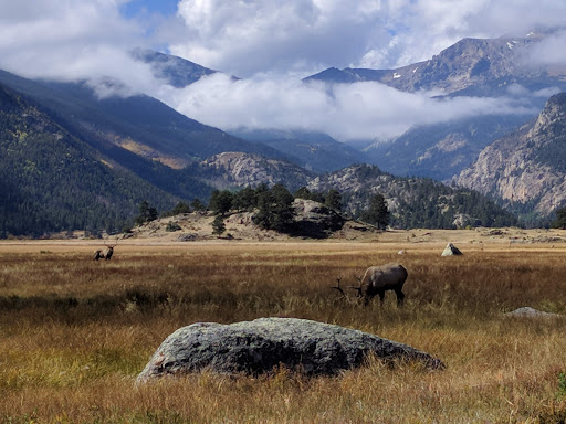 National Park «Rocky Mountain National Park», reviews and photos