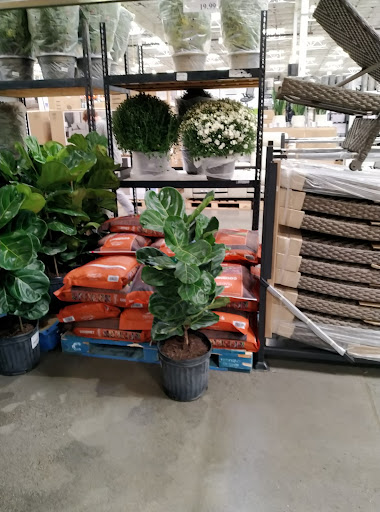 Warehouse store «Costco Wholesale», reviews and photos, 43621 Pacific Commons Blvd, Fremont, CA 94538, USA